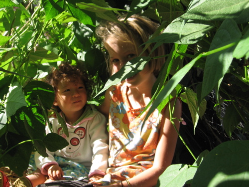 The neighborhood children enjoy fallen bean forts.