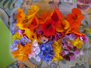We also sold edible flowers.  Nasturtium, borage, calendula, pansies, oxalis.