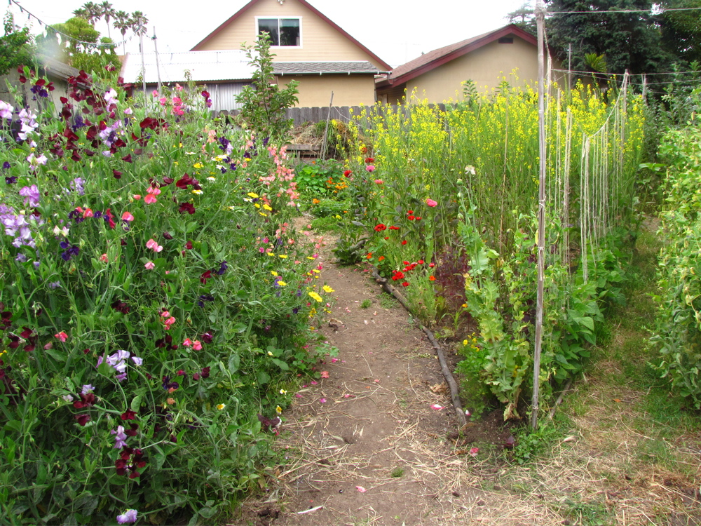 springgarden2011-1